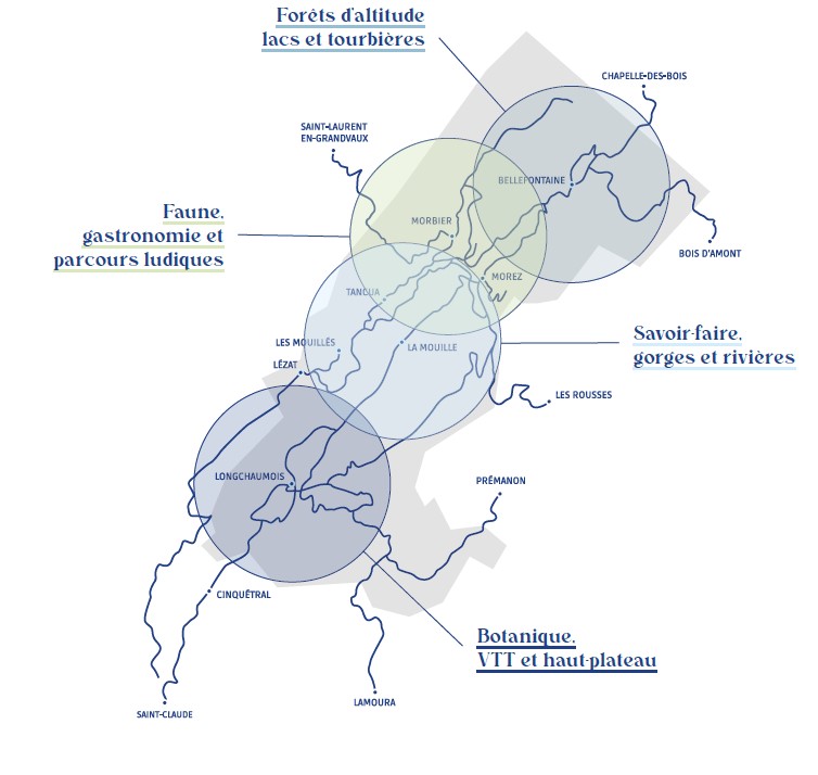 Schéma d'organisation du territoire par thème